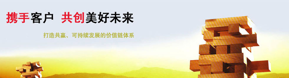 安徽合肥星火食品包裝設備有限公司
